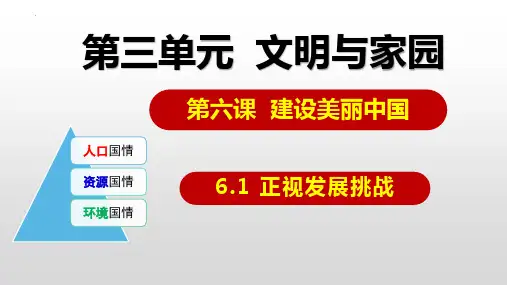 正视发展挑战 部编版道德与法治九年级上册 