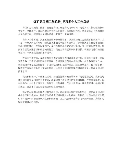 煤矿见习期工作总结_见习期个人工作总结