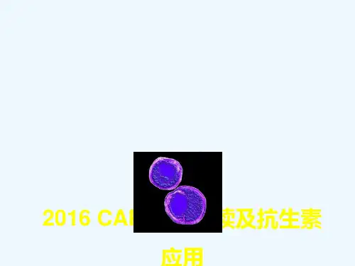 社区获得性肺炎 CA 指南解读及抗生素应用