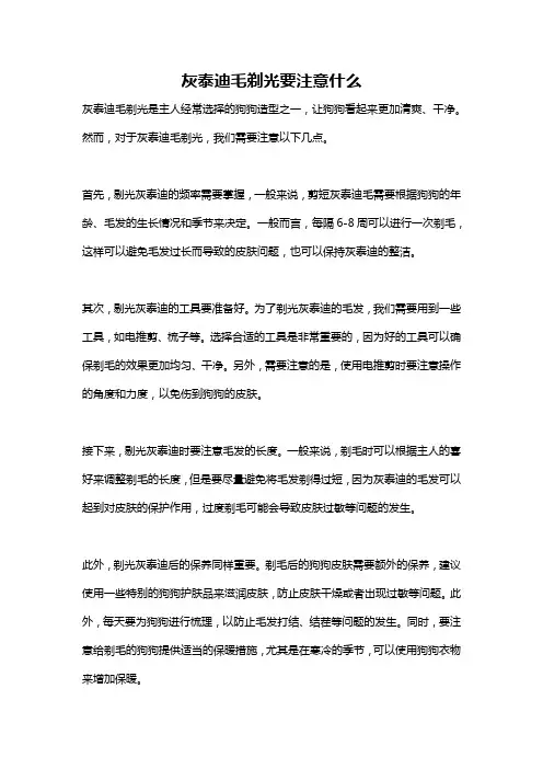 灰泰迪毛剃光要注意什么