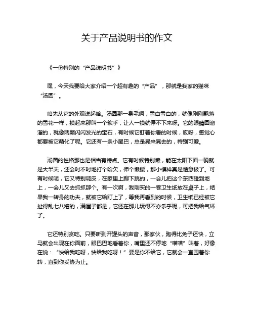 关于产品说明书的作文