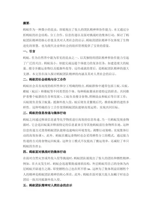 蚂蚁的团队精神论文