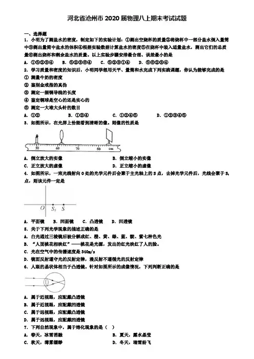 河北省沧州市2020届物理八上期末考试试题