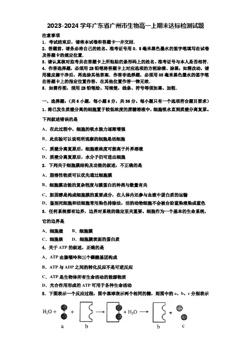 2023-2024学年广东省广州市生物高一上期末达标检测试题含解析
