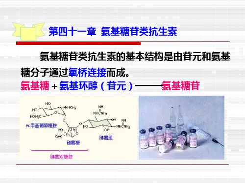 氨基糖苷类抗生素ppt课件