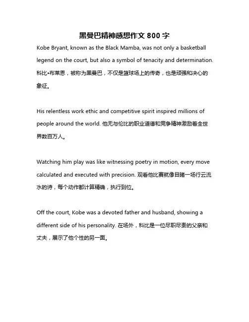 黑曼巴精神感想作文800字