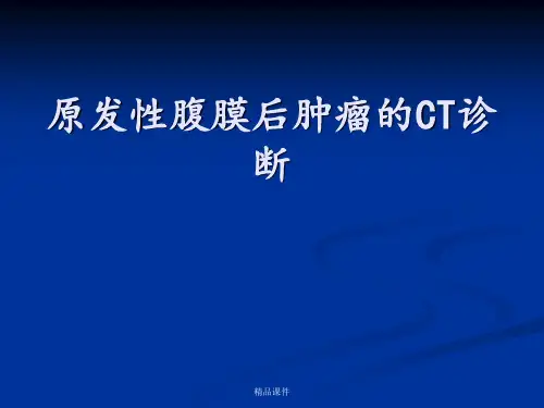 腹膜后肿瘤的CT诊断讲义ppt课件