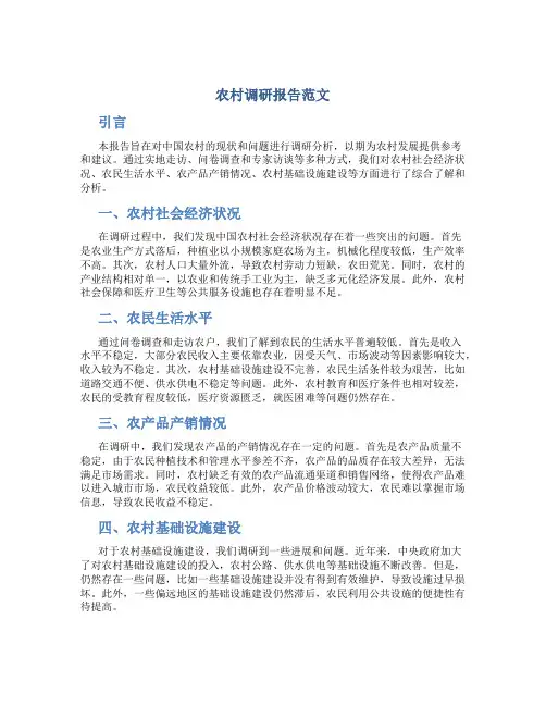 农村调研报告范文3000字