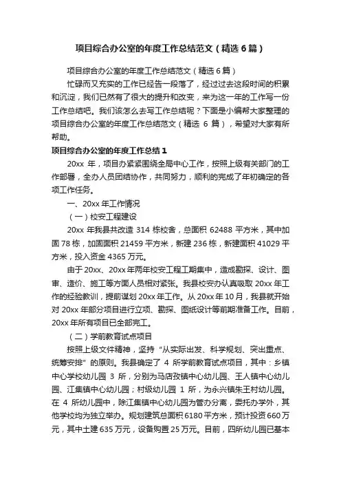 项目综合办公室的年度工作总结范文（精选6篇）