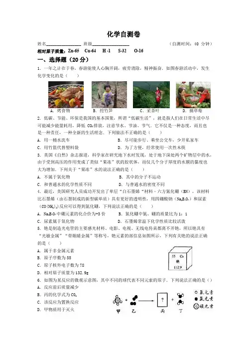 2019年安徽中考化学模拟试卷(PDF版)