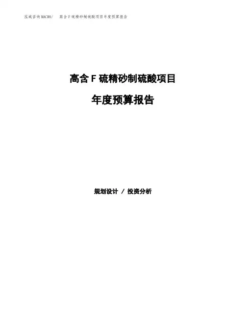 高含F硫精砂制硫酸项目年度预算报告