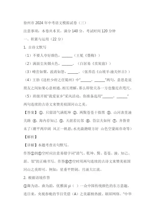 2024年江苏省徐州市中考模拟语文试题(三)(含解析)