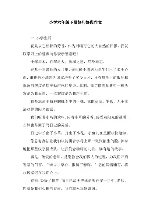 小学六年级下册好句好段作文