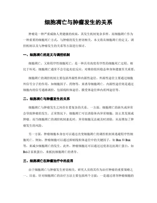 细胞凋亡与肿瘤发生的关系