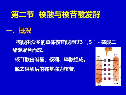 核苷酸类物质(精)