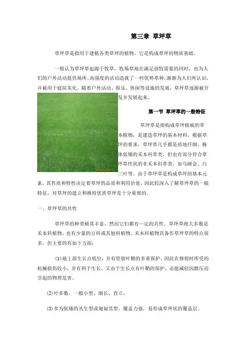 草坪草