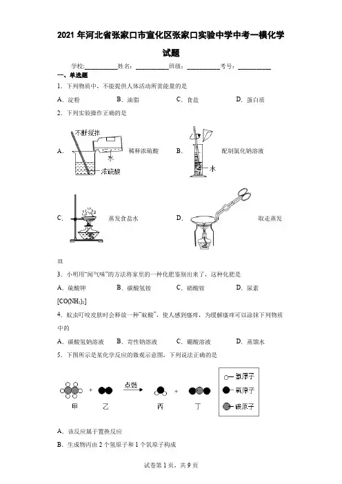 2021年河北省张家口市宣化区张家口实验中学中考一模化学试题