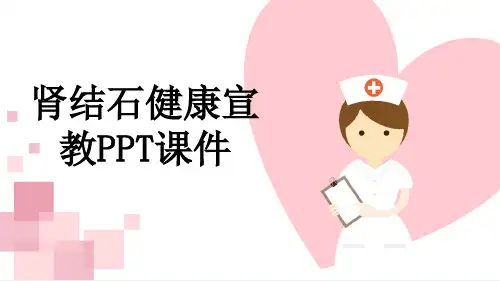 肾结石健康宣教PPT课件