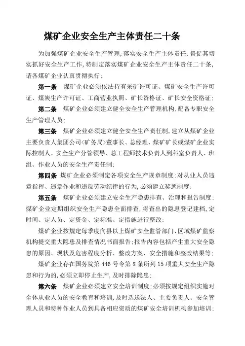 煤矿企业安全生产主体责任二十条