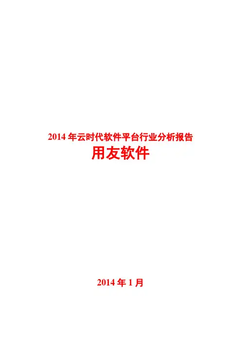 2014年云时代软件平台行业分析报告