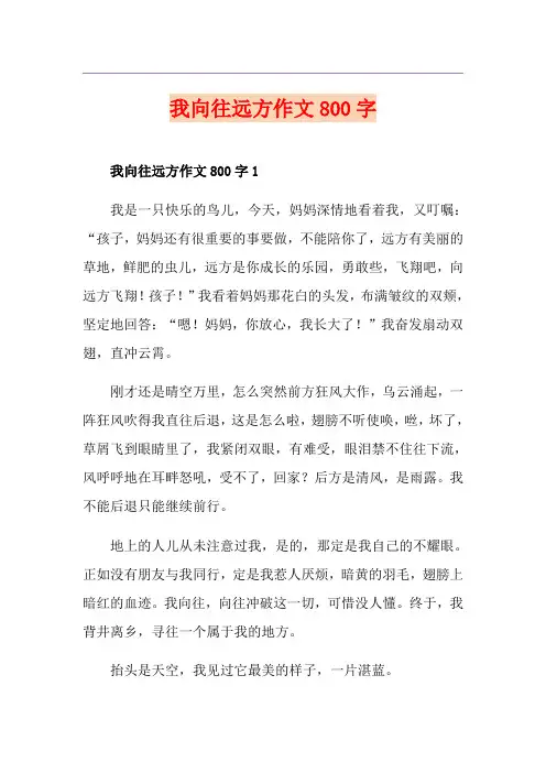 我向往远方作文800字