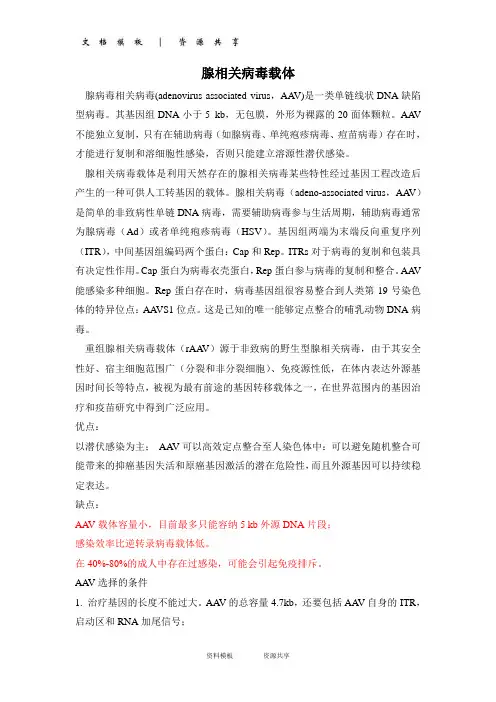 模板：腺相关病毒载体