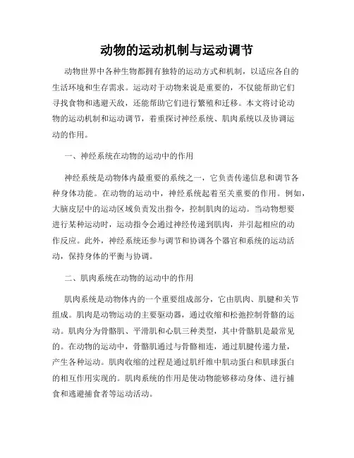 动物的运动机制与运动调节