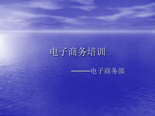 电子商务培训教材PPT(共 40张)