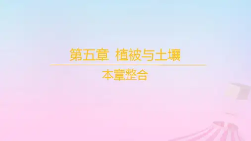新教材高中地理第五章植被与土壤本章整合课件新人教版必修第一册