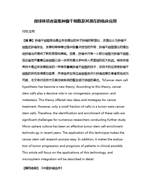 微球体培养富集肿瘤干细胞及其潜在的临床应用