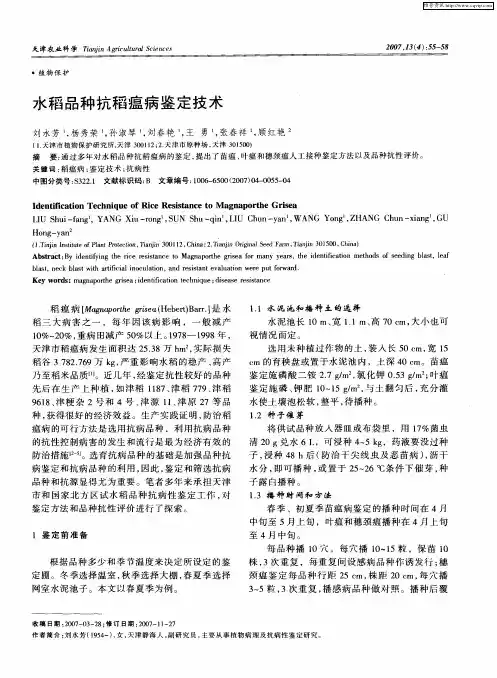 水稻品种抗稻瘟病鉴定技术