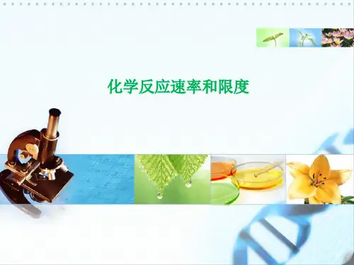 化学必修Ⅱ人教新课标2-3化学反应的速率和限度课件(12张)