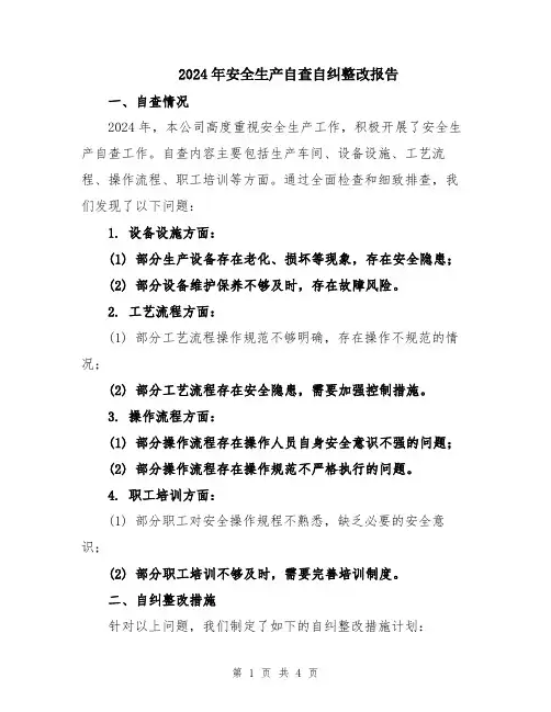 2024年安全生产自查自纠整改报告