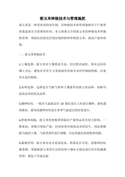 甜玉米种植技术与管理施肥