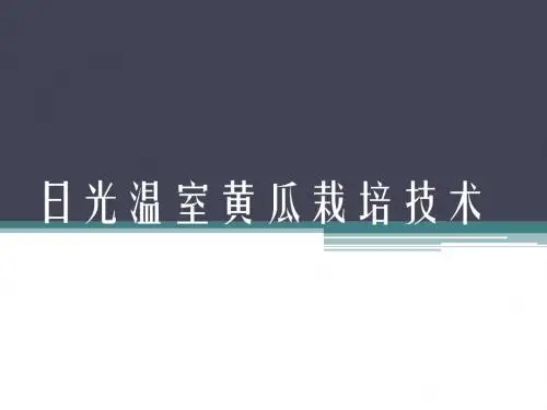 日光温室黄瓜栽培技术