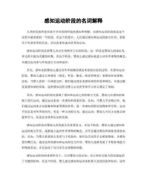 感知运动阶段的名词解释
