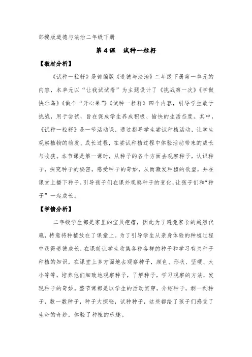 小学道德与法治二年级下册《试种一粒籽》教案