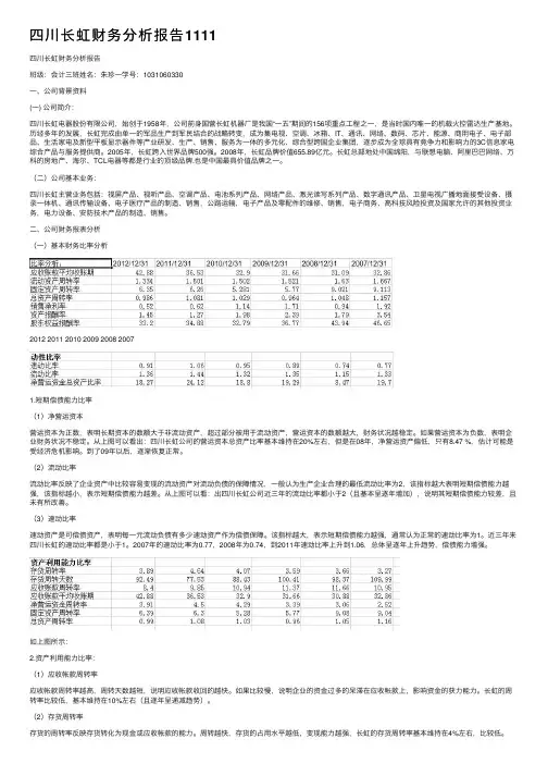 四川长虹财务分析报告1111