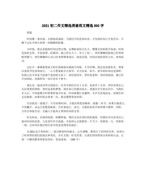 2021初二作文精选消逝范文精选800字