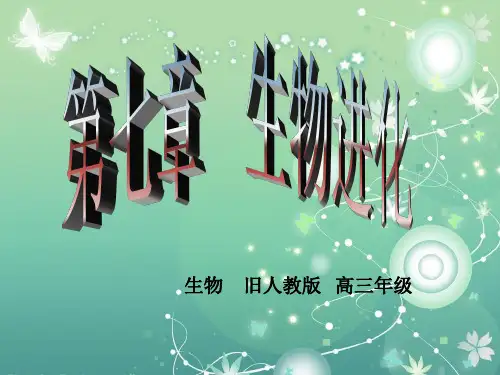 生物进化PPT教学课件