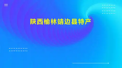 陕西榆林靖边县特产
