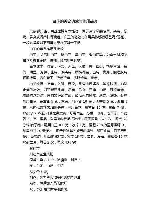 白芷的美容功效与作用简介