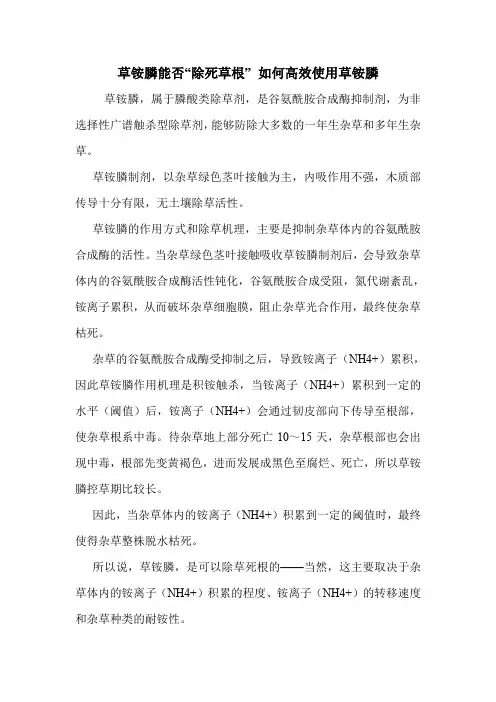 草铵膦能否“除死草根” 如何高效使用草铵膦