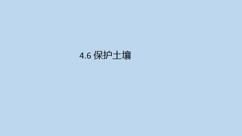 保护土壤(PPT课件(初中科学)26张)