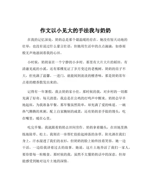 作文以小见大的手法我与奶奶