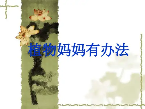 语文二年级上人教新课标第3课《植物妈妈有办法》课件(12张)7