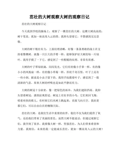 小学三年级作文茁壮的大树观察大树的观察日记