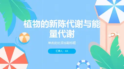 植物的新陈代谢与能量代谢