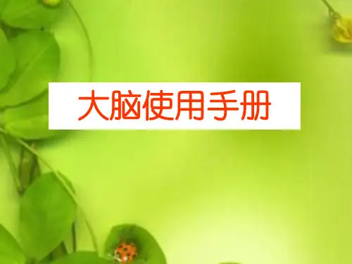 大脑使用手册