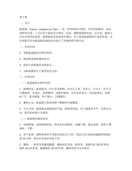 板蓝根栽培实训报告(3篇)